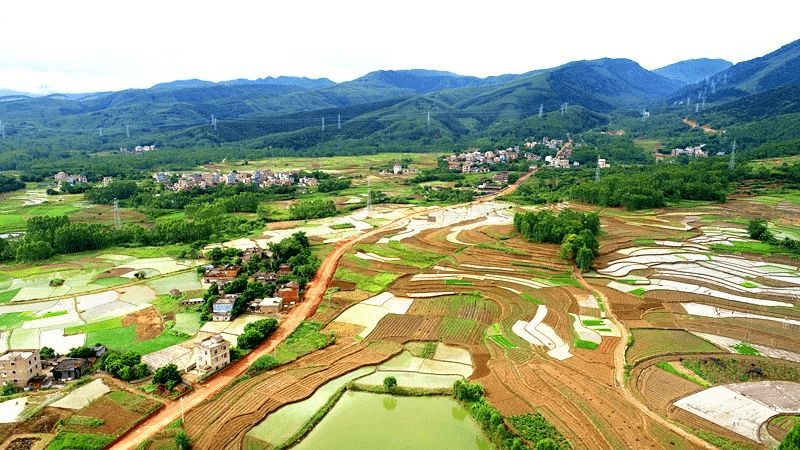 蒙圩镇人口_桂平市蒙圩镇