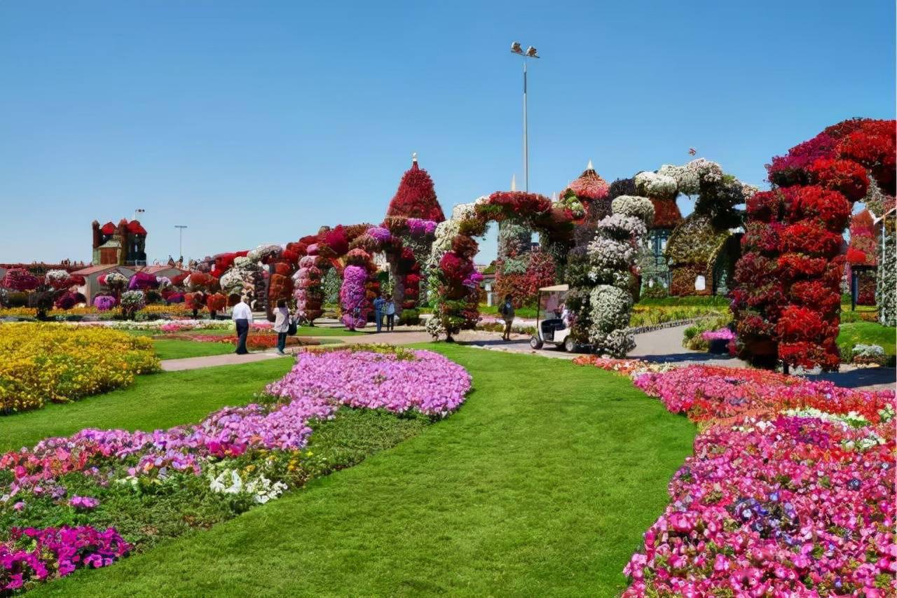迪拜奇迹花园的建造耗费了4500万株鲜花,是现在世界最大的花园.