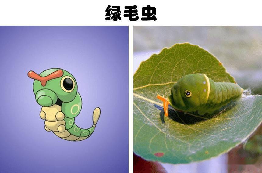 1,绿毛虫25年来,宠物小精灵或口袋精灵吸引了全世界人们的关注,游戏