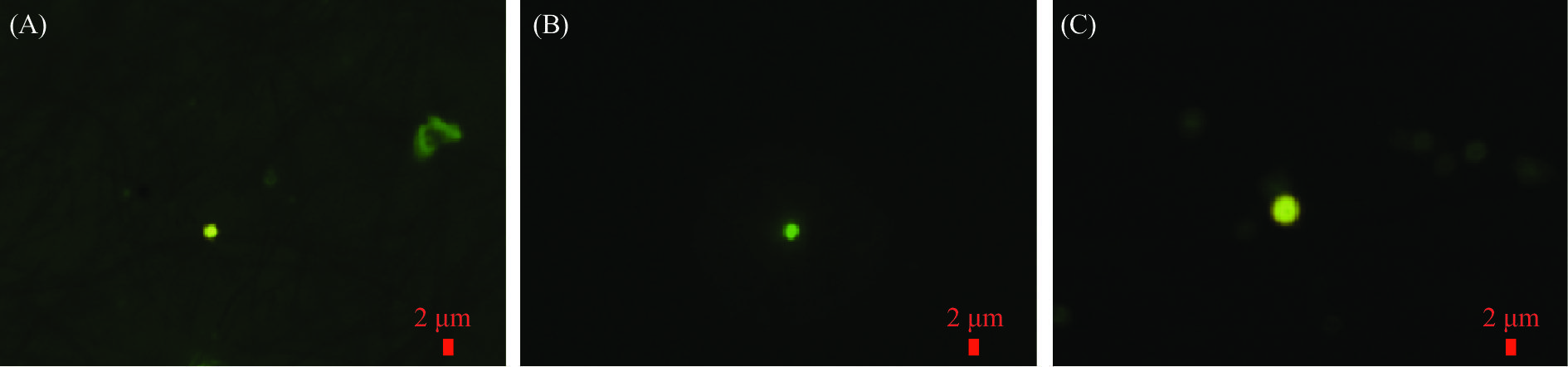 传播|中疾控周报：新冠病毒能在“握手楼”中通过气溶胶传播