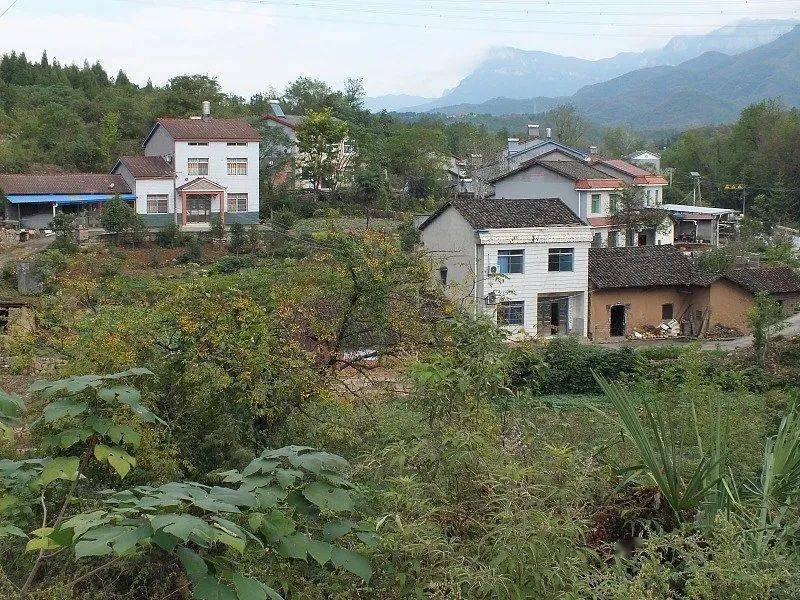 推进,农村人口大量外流,加上管理的滞后,农村宅基地闲置的情况突出