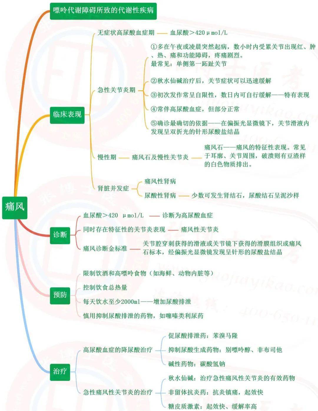 【臨床】風溼免疫性疾病-思維導圖