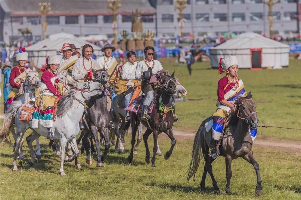 表达了丰收的喜悦之情 摄影 李杭 黄南州河南蒙古族自治县 "那达慕"