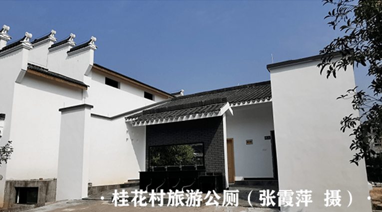 建德乡村"土"?答案在这里!