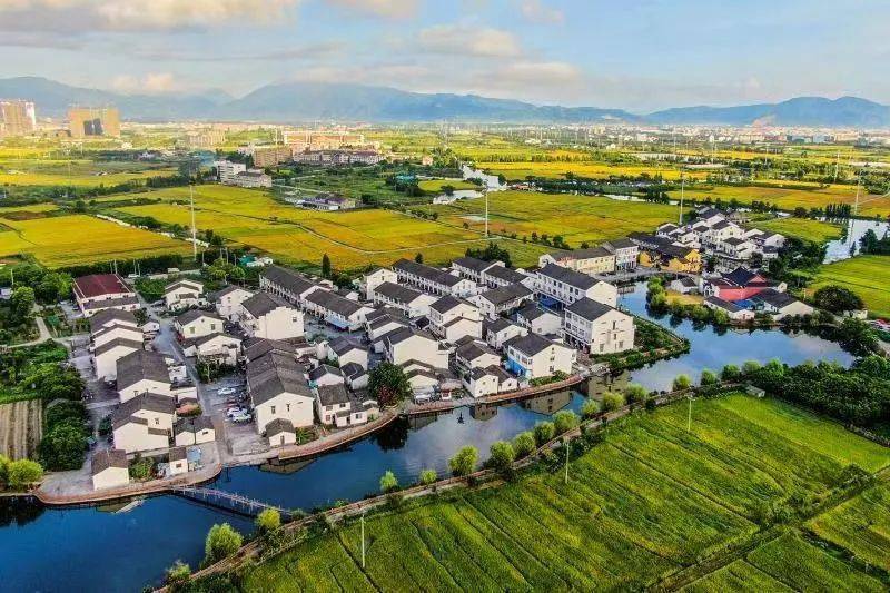 深厚林垟湿地是典型的滨海河口湿地浑然一体,生生不息瑞安的田园水乡