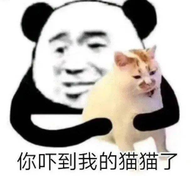怎么回怼你爸妈不要你了 2e388c47f7684919baa8ce1350b69f32.jpeg