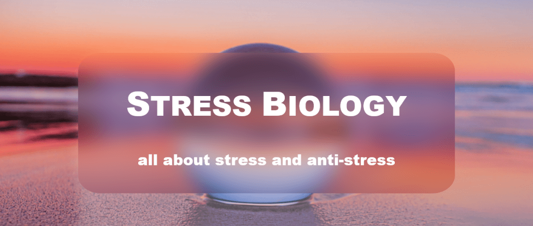 stressbiology首刊发布
