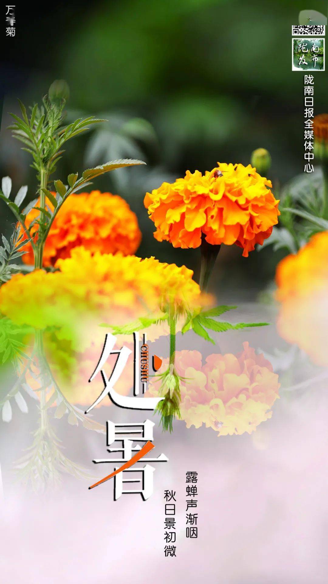 今日什么时候处暑 36c96bb4a3ec40979ce40c9b9d7f3d97.jpeg