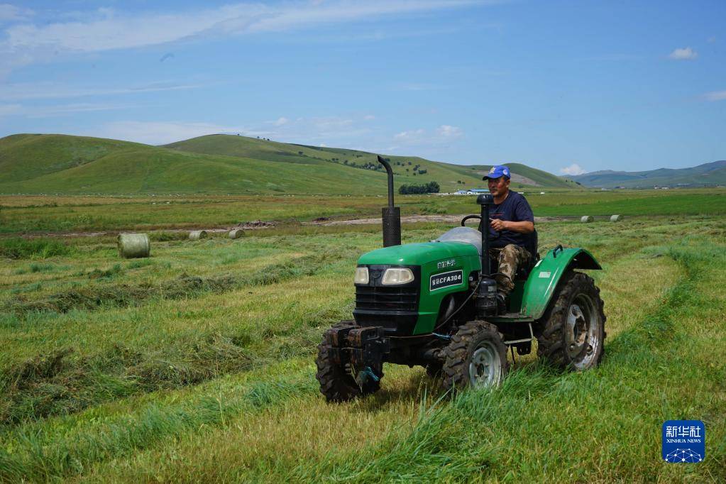 内蒙古兴安盟:草原打草忙