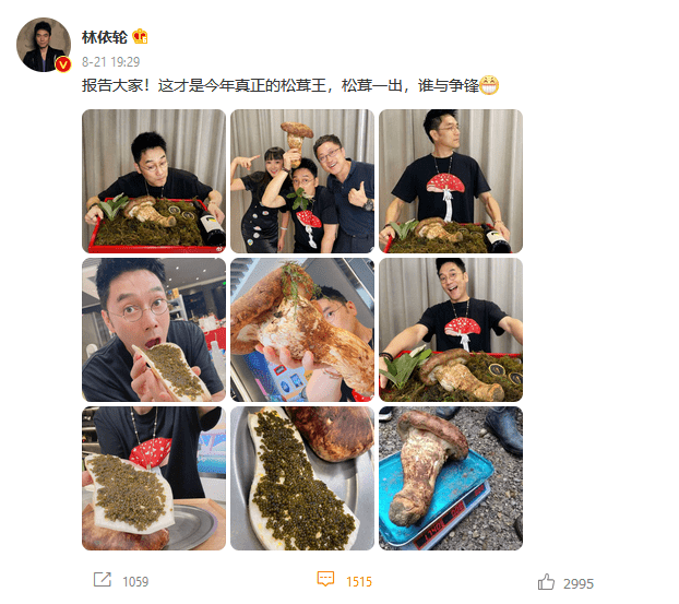 林依轮推荐云南松茸 助力"云菌"出滇