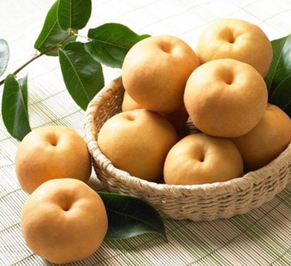 番茄汤|处暑会吃才健康！初秋最该吃的食物大揭秘！（含食谱）