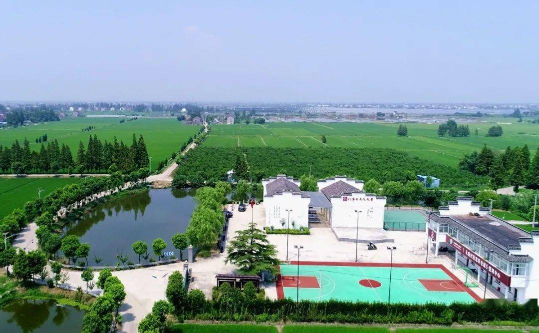 视频中萤火虫出现的地点是西塘镇礼庙村.