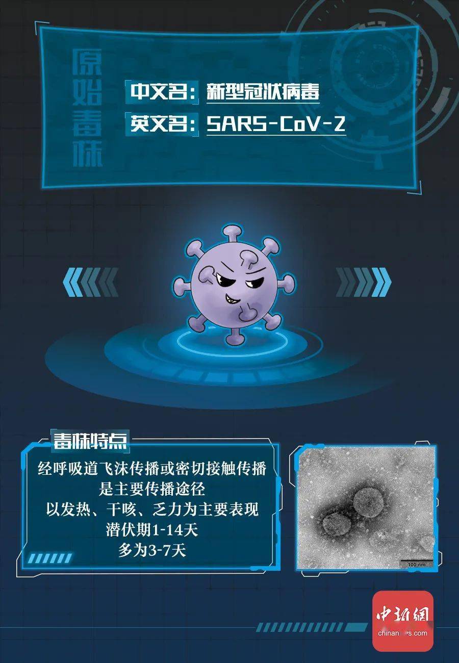 部门|新冠病毒全家谱：谁最毒？谁最快？谁最要命？