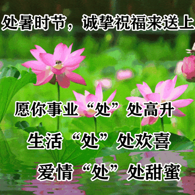 8月23日最漂亮处暑动态表情图片大全,处暑动图美图大全_祝福