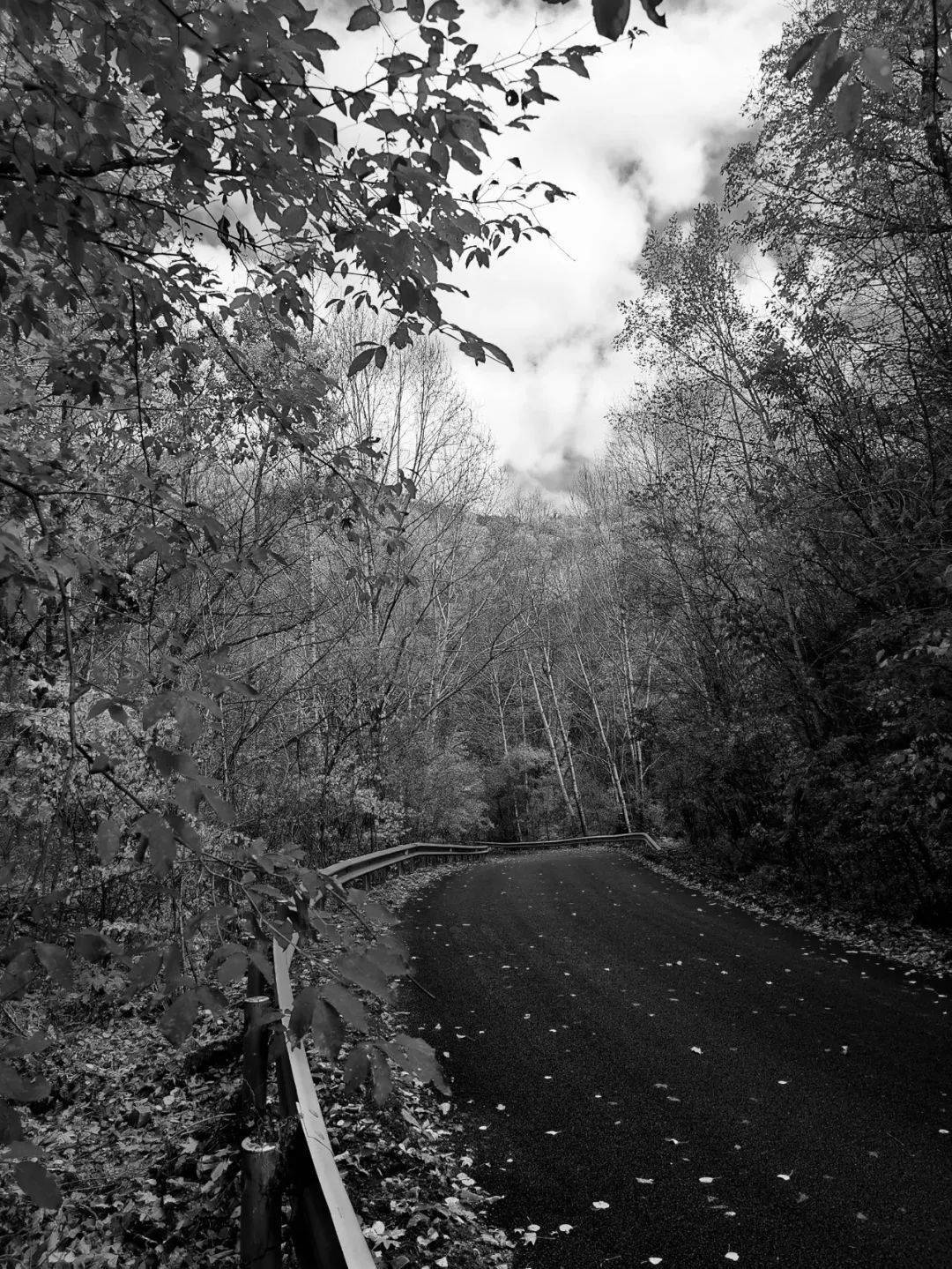 即可将以下黑白照片点亮为彩色)秋天总是按时到来,凉风吹走酷暑,并把