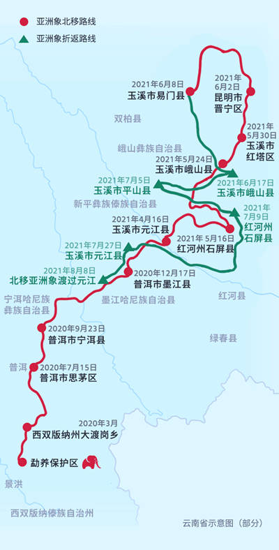 设计|在沉浸式体验新闻中，与“短鼻家族”一起旅行