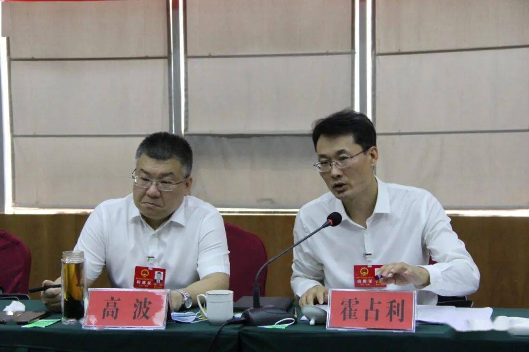 保定市十六届人大一次会议分组审议