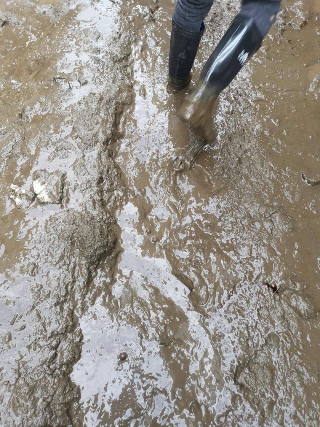 现场直击!面对30公分的淤泥和枯枝,他们冲锋在前…… || 897聚焦