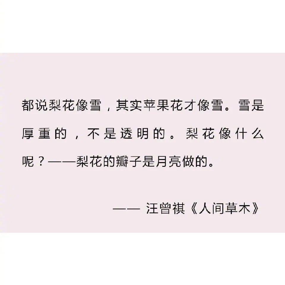 適合所有情緒的走心句子74適合睡前發朋友圈晚安心情短句74文案