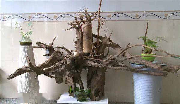 看民间艺人一双妙手让枯木再逢春