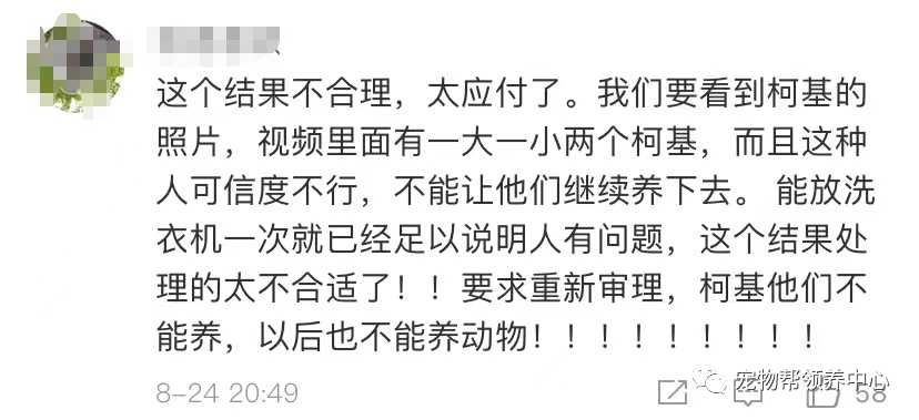 李某阳|洗衣机柯基终于找到,还活着!可还是留给了施虐者养……
