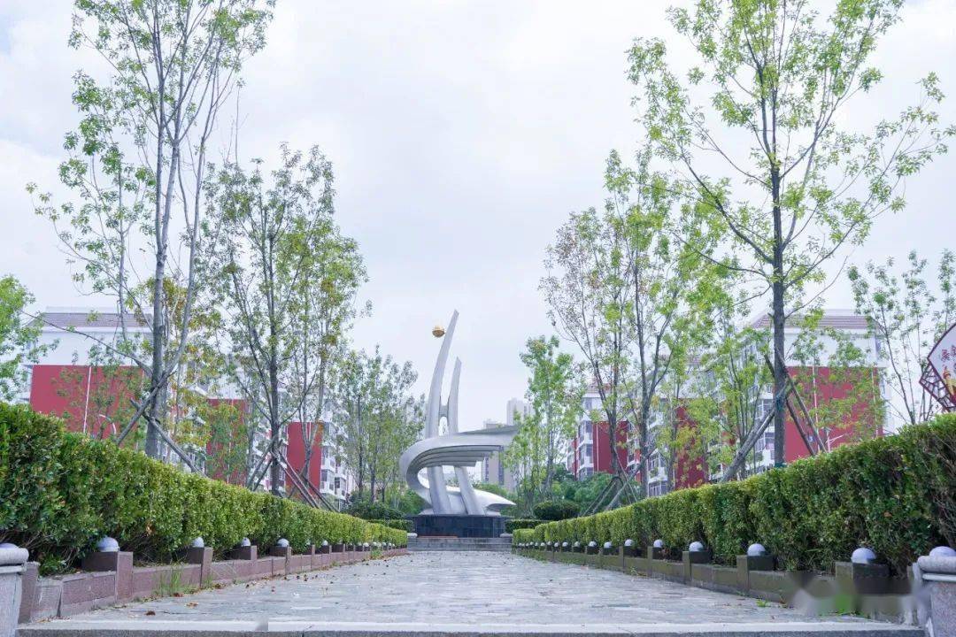 今年日照大学城的改造工作进入了工程扫尾阶段.