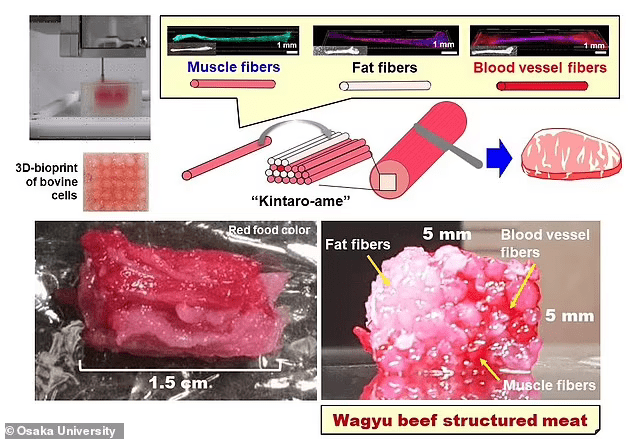 干细胞|大阪大学研制出世界首款3D打印和牛肉，大理石纹如同真牛肉