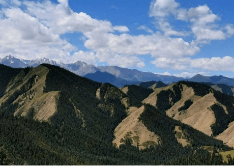 微专题阳坡阴坡背风坡迎风坡