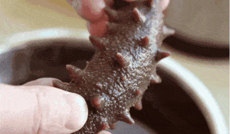b7d616abaa9e41fca7350bf8b4182603.gif