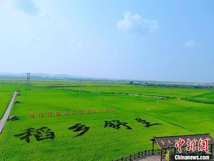 吉林黑土地"共享稻田"谱写农业新曲