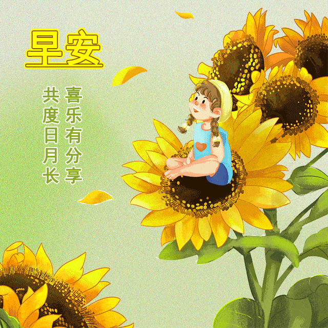 最新漂亮的早安祝福图片 早上好鲜花动画表情大全