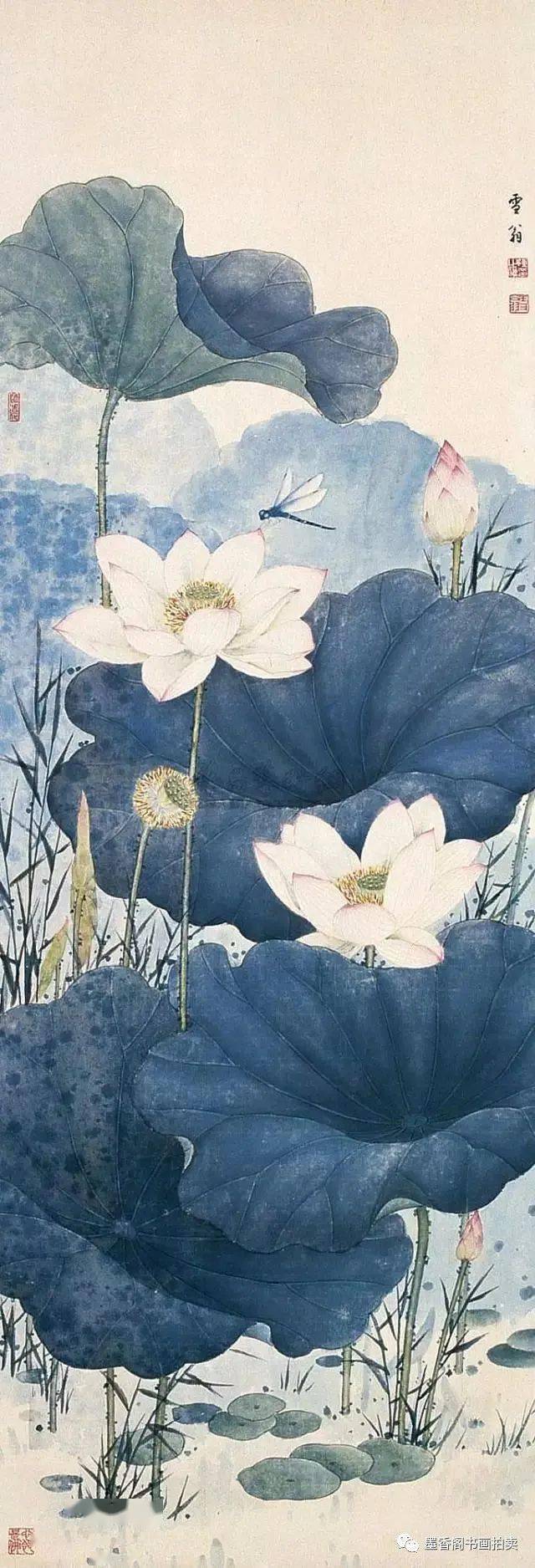 荷塘清趣,精彩纷呈_荷花