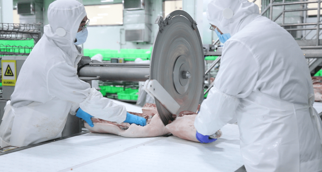 正阳牧原肉食招聘生产部屠宰技工专项招聘重磅来袭