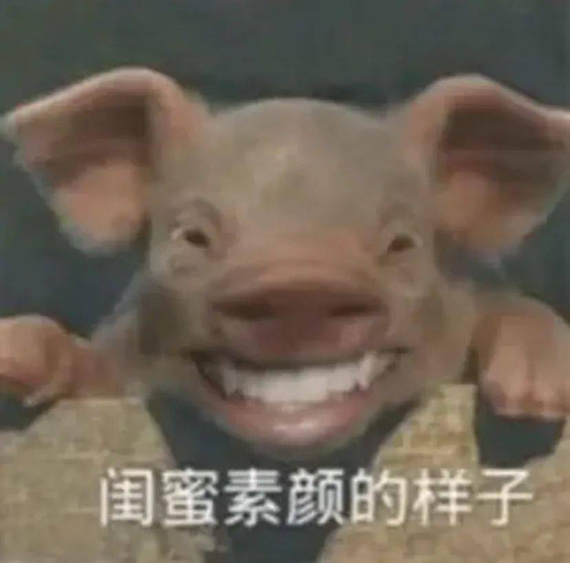 6820f169a4814e88b49e8e31f21cbfdd.jpeg