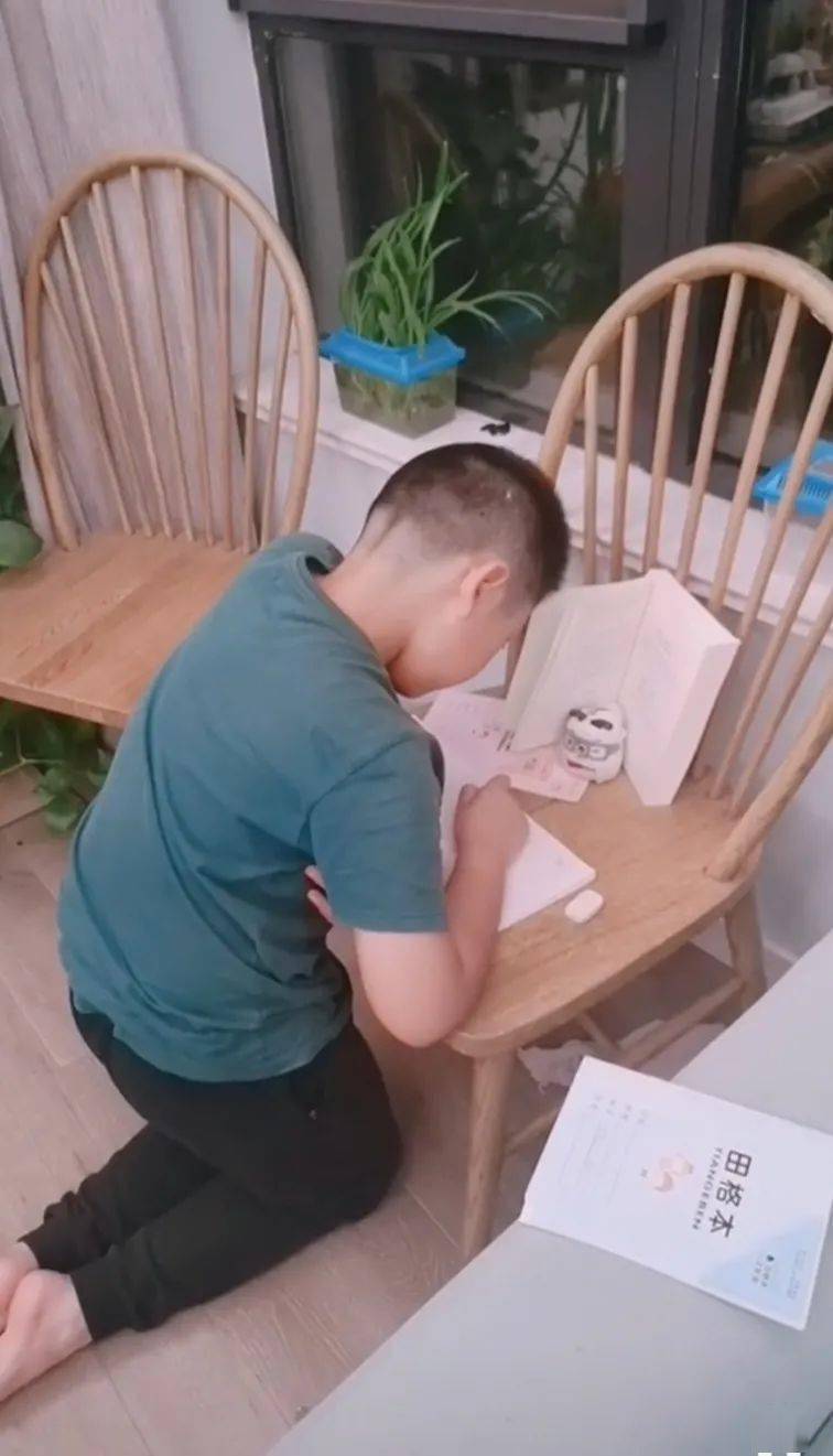 作业写完了吗全国统一灾难大片赶作业正在上映