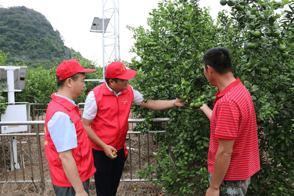 广西钟山:为乡村振兴注入气象力量