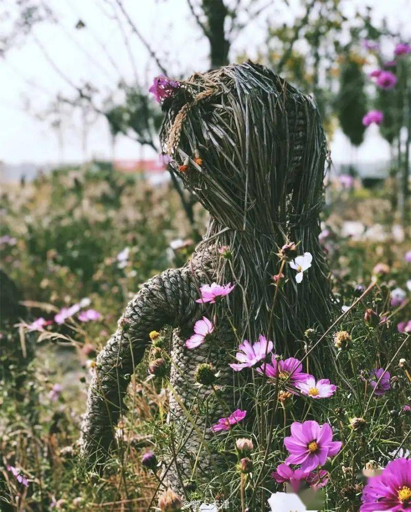 远远看去,就像矗立在千亩田地里的稻草人