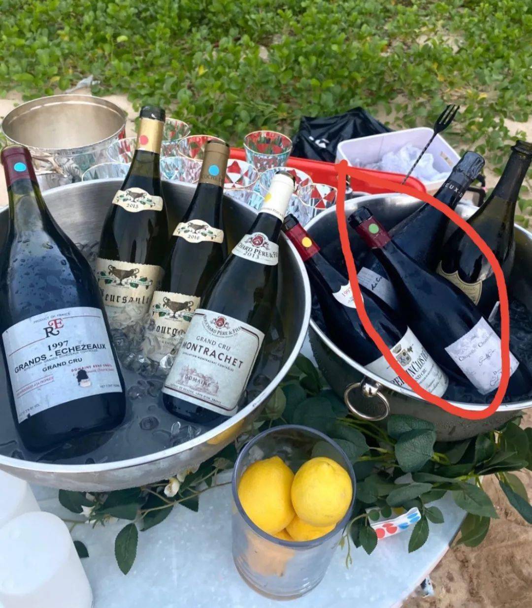 周星驰|绯闻星女郎的葡萄酒品味竟不输周星驰