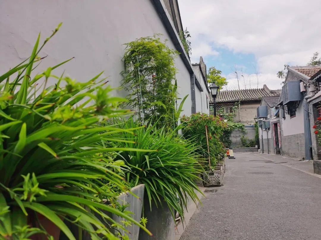 首都文明街巷胡同里的小花园