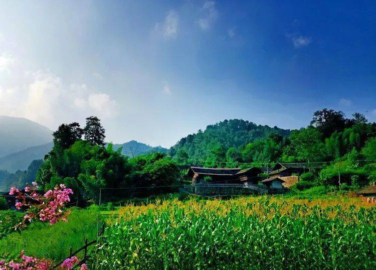 沅陵乡村小溪之恋马底驿乡奔溪