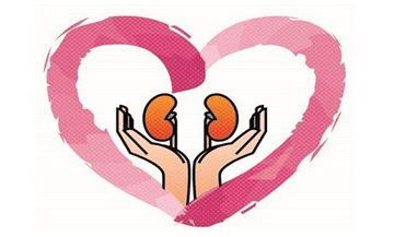 治疗|“肾”宝贝，出院了怎么护理呢？