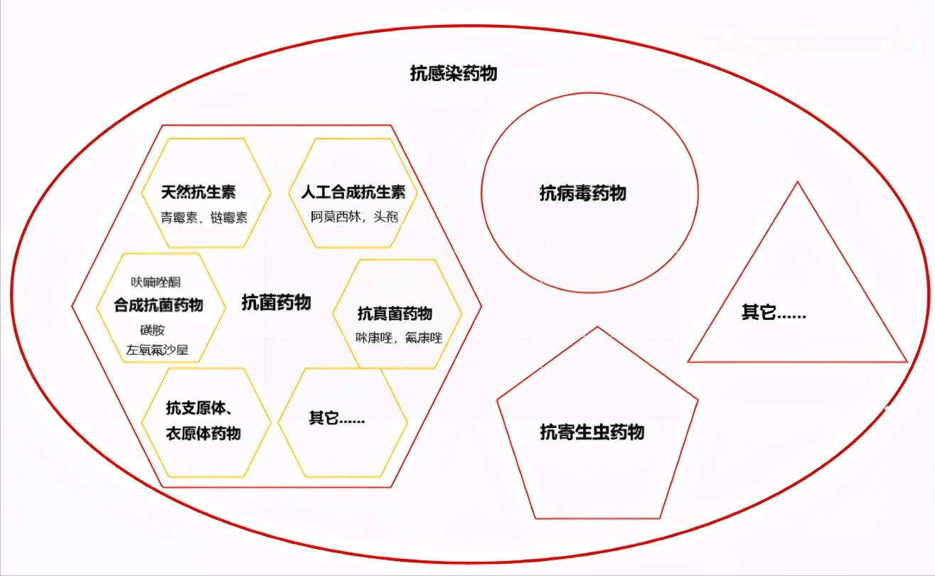 兩大抗生素阿莫西林和頭孢要認清用對是寶用錯是害藥