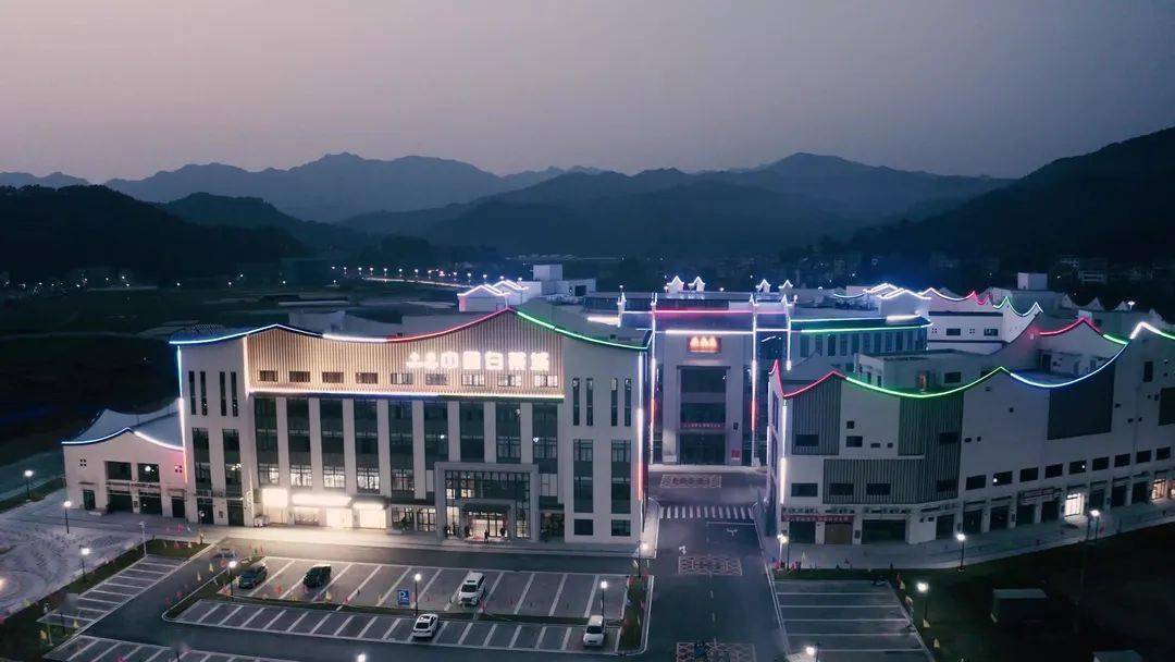 政和白茶中国味道