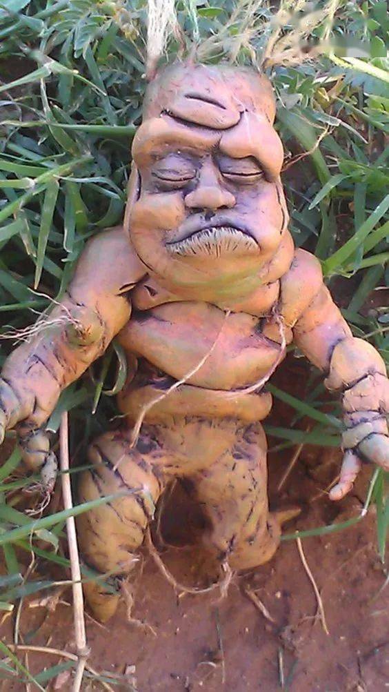 发几张不正经的照片给你看看,牙都笑歪了!专治不开心!