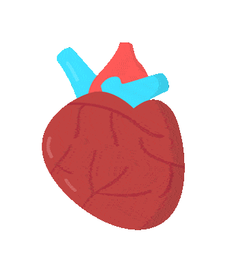 公众|【我为群众办实事】公众健康素养大提升|糖尿病怎么控制血糖?记住这些就够了