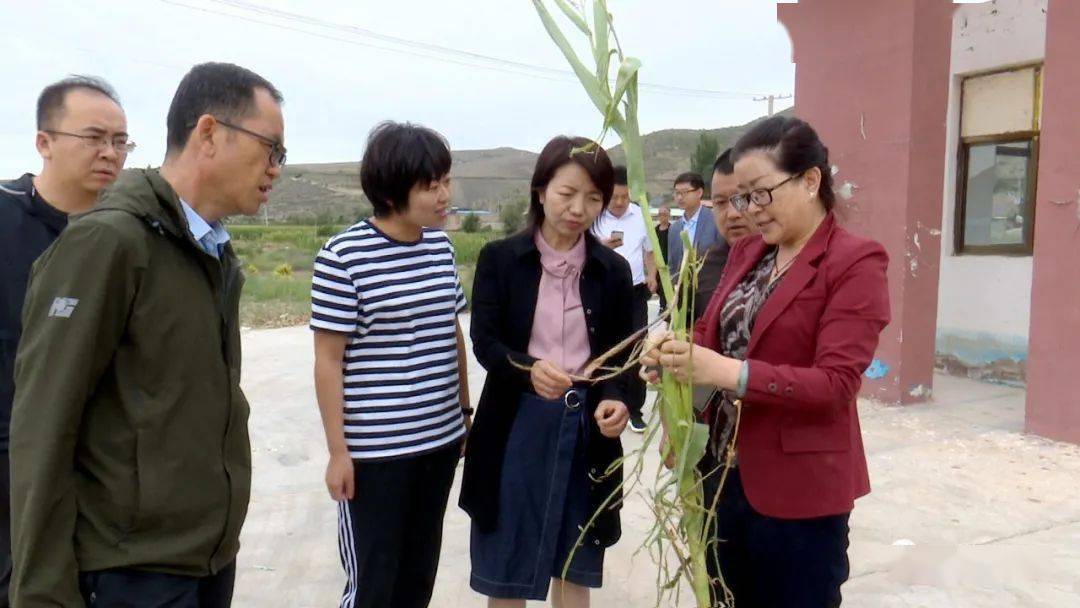 陈月芳深入安定区调研指导工作
