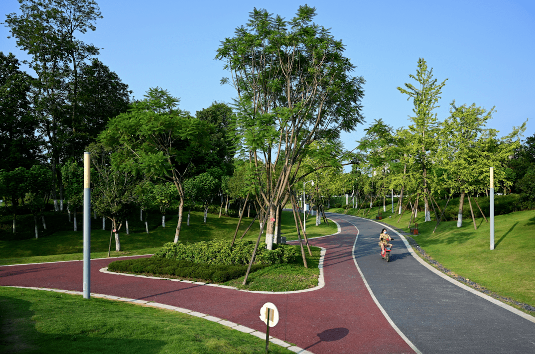 市民在成华区圣灯公园绿道骑行