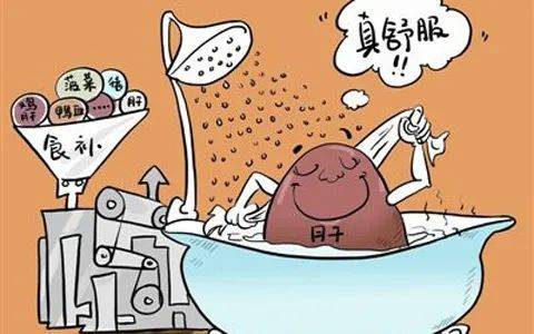 免疫|“熬夜伤肝”是不是真的？这里一文全解读