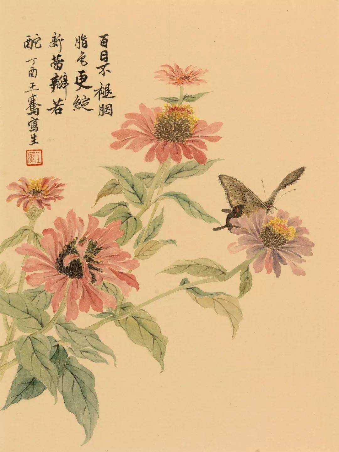 他的花卉雅致清丽 虫鸟栩栩如生 作品集