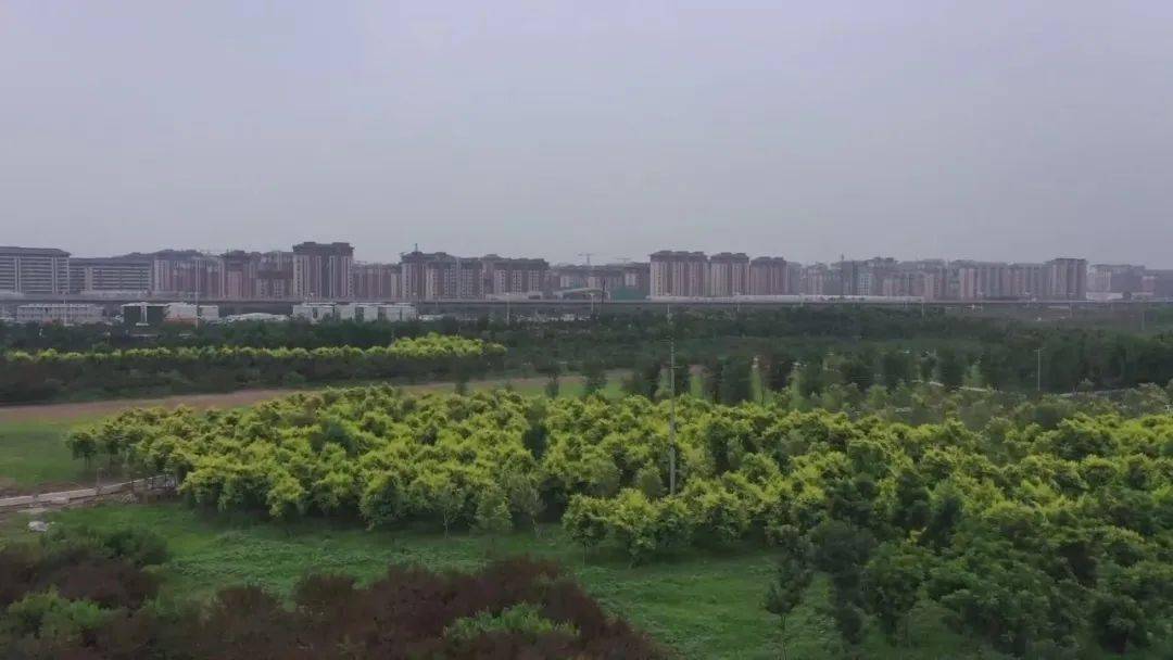 现在怎么进去雄安郊野公园 180ce2f27b37494c91980601f7e25aca.jpeg